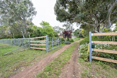 Farm Sold - NSW - Dubbo - 2830 - PEACEFUL PRIVACY WITH LOADS OF EXTRAS  (Image 2)
