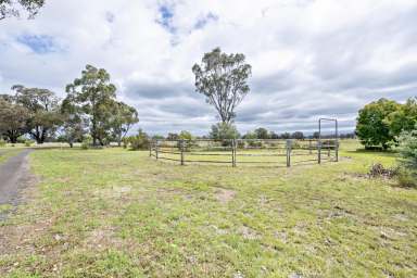 Farm Sold - NSW - Dubbo - 2830 - PEACEFUL PRIVACY WITH LOADS OF EXTRAS  (Image 2)