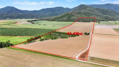 Farm Sold - QLD - Gordonvale - 4865 - Is this your perfect home site?  (Image 2)