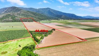 Farm Sold - QLD - Gordonvale - 4865 - Is this your perfect home site?  (Image 2)