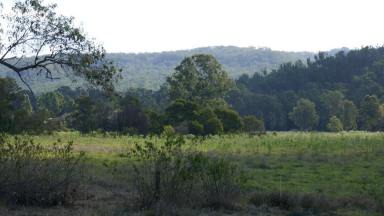 Farm For Sale - NSW - Busbys Flat - 2469 - DEEP IN THE JUNGLE  (Image 2)