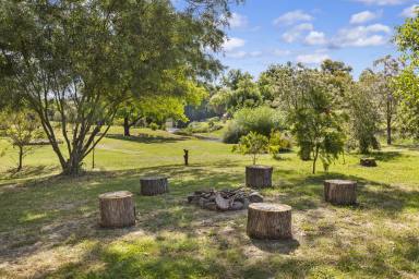 Farm Sold - NSW - Adelong - 2729 - Rare Lifestyle Entertainer with Country Charm  (Image 2)
