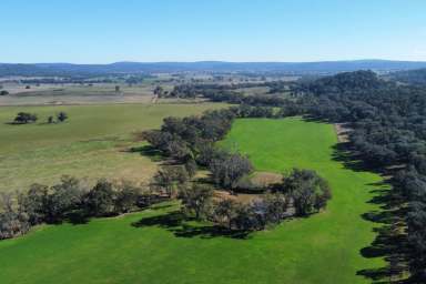 Farm For Sale - NSW - Cowra - 2794 - PRIME, ALLUVIAL CREEK FLATS & EXCELLENT INFRASTRUCTURE!  (Image 2)