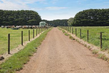 Farm Sold - VIC - Simpson - 3266 - Top class Heytesbury District Dairy Farm  (Image 2)