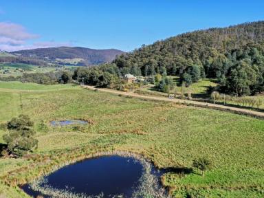 Farm Sold - TAS - Ranelagh - 7109 - The Best Example of a Huon Valley Rural Property  (Image 2)