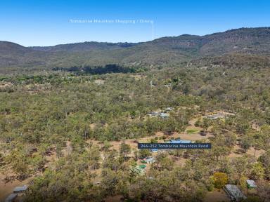 Farm Sold - QLD - Tamborine - 4270 - 6 Acres of Tranquility!  (Image 2)