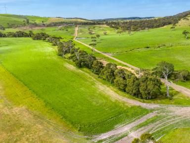 Farm For Sale - SA - Delamere - 5204 - 'Blinkbonnie' - Diversify or invest in 4 titles of 377 remote, versatile & highly productive acres.  (Image 2)
