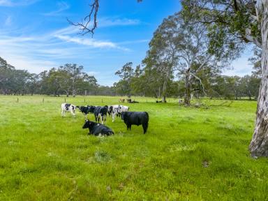 Farm Sold - SA - Kuitpo - 5201 - A sublime rural ride or the live-to-agist project dream on 2 spectacular titles of 45-acres each.  (Image 2)