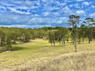 Farm For Sale - NSW - Piora - 2470 - Countryside Haven  (Image 2)