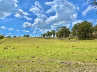 Farm For Sale - NSW - Piora - 2470 - Countryside Haven  (Image 2)