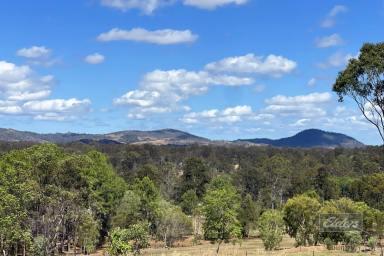 Farm Sold - QLD - Glenwood - 4570 - IT'S ALL ABOUT THE VIEWS!  (Image 2)