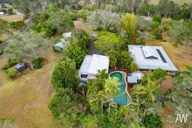 Farm For Sale - QLD - Belli Park - 4562 - Peaceful Rural Lifestyle: Dual Living + More!  (Image 2)