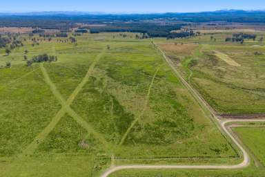 Farm Sold - NSW - Bellimbopinni - 2440 - Prime Agistment Land with Lush Kikuyu Grasses and Town Water Access  (Image 2)