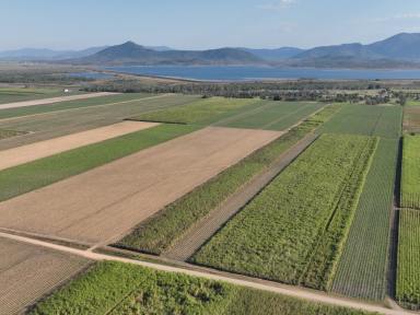 Farm For Sale - QLD - Mirani - 4754 - "Efficient Pioneer Valley Cane Farm"  (Image 2)