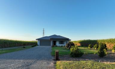 Farm For Sale - QLD - Oakenden - 4741 - Irrigated Cultivation at Oakenden | All New Structural Improvements  (Image 2)