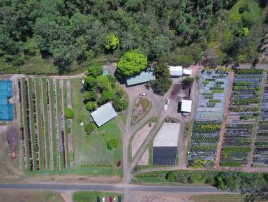 Farm For Sale - QLD - Mount Ossa - 4741 - NURSERY | FARMING | GRAZING | LIFESTYLE  (Image 2)