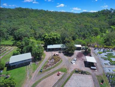 Farm For Sale - QLD - Mount Ossa - 4741 - NURSERY | FARMING | GRAZING | LIFESTYLE  (Image 2)