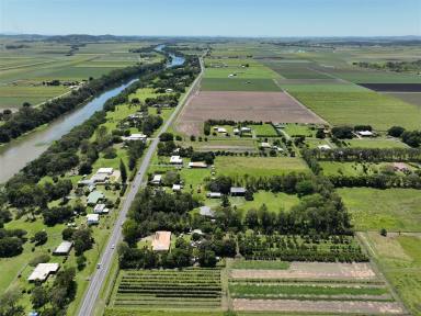 Farm For Sale - QLD - Pleystowe - 4741 - Acreage Lifestyle Close to Mackay  (Image 2)
