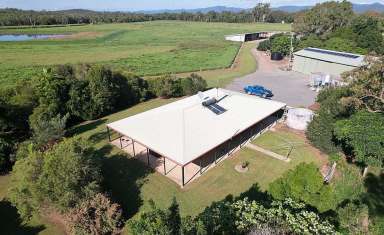 Farm For Sale - QLD - Ilbilbie - 4738 - Rural Lifestyle  (Image 2)