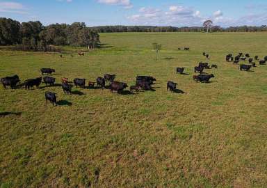 Farm For Sale - QLD - Ilbilbie - 4738 - Rural Lifestyle  (Image 2)