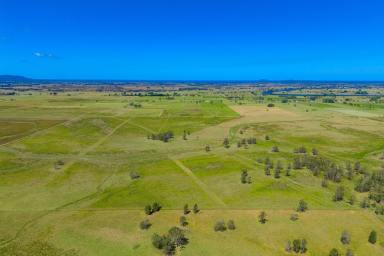 Farm For Sale - NSW - Bellimbopinni - 2440 - Embrace The Abundant Farming Opportunities And Foster Success.  (Image 2)