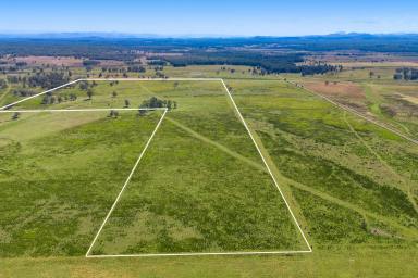 Farm For Sale - NSW - Bellimbopinni - 2440 - Embrace The Abundant Farming Opportunities And Foster Success.  (Image 2)