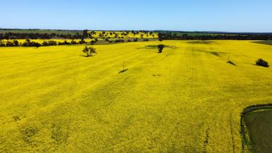 Farm For Sale - WA - Carrolup - 6317 - The Glen - Renowned Great Southern Property  (Image 2)