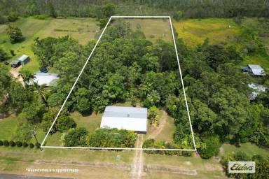 Farm For Sale - QLD - East Feluga - 4854 - 2 Acres of Tropical Heaven with a Seasonal Creek  (Image 2)