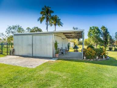 Farm Sold - QLD - Caboolture - 4510 - ANOTHER SOLD BY SUE  (Image 2)