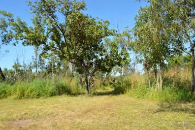 Farm For Sale - NT - Darwin River - 0841 - Fabulous Starter with all three services and wonderful views across Darwin River  (Image 2)