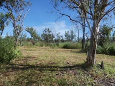 Farm For Sale - NT - Darwin River - 0841 - Bore Power and Septic this land is ready to build upon and has a Motivated seller so make an offer!  (Image 2)