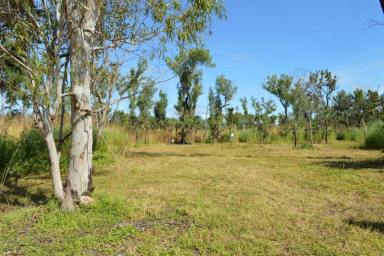 Farm For Sale - NT - Darwin River - 0841 - Fabulous Starter with all three services and wonderful views across Darwin River  (Image 2)