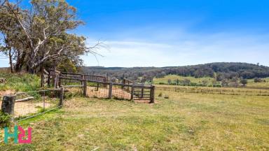 Farm For Sale - NSW - Hampton - 2790 - Sublime rural escape, with space to build - DRAFT  (Image 2)