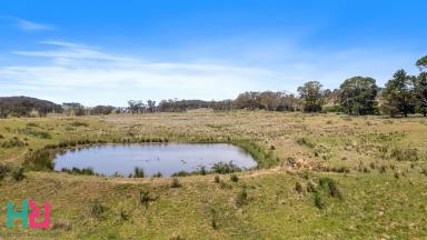 Farm For Sale - NSW - Hampton - 2790 - Sublime rural escape, with space to build - DRAFT  (Image 2)