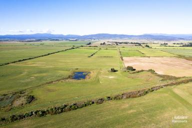 Farm For Sale - TAS - Evandale - 7212 - Mixed Farming Gem: Grazing/Cropping Opportunity on the South Esk River  (Image 2)