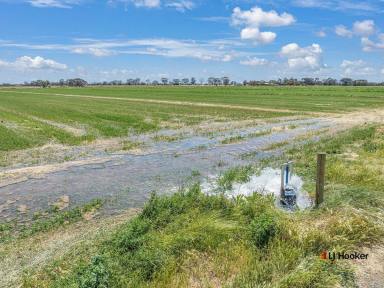 Farm For Sale - VIC - Echuca - 3564 - Rural Living/Income on Echuca's Doorstep  (Image 2)