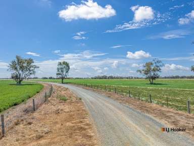 Farm For Sale - VIC - Echuca - 3564 - 200 Acres on Echuca's Doorstep - Vendor Terms Considered  (Image 2)