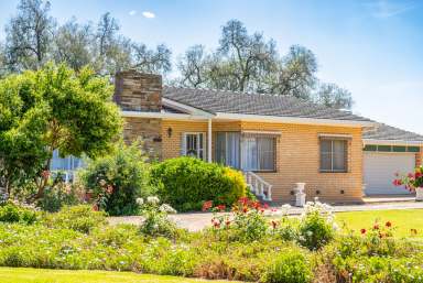 Farm For Sale - NSW - Corowa - 2646 - Moorabinda Homestead  (Image 2)