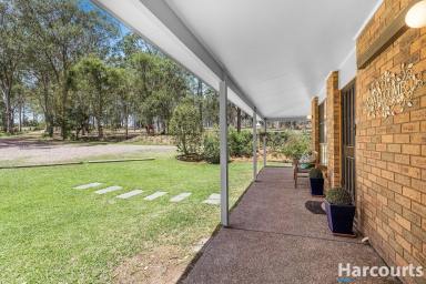 Farm Sold - NSW - Duns Creek - 2321 - One For the Horse Lovers!  (Image 2)