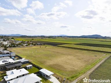 Farm Sold - QLD - Walkerston - 4751 - 2.61 Ha Land for Sale in Walkerston, Queensland!  (Image 2)