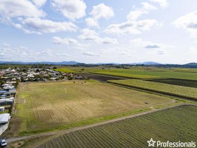 Farm Sold - QLD - Walkerston - 4751 - 2.61 Ha Land for Sale in Walkerston, Queensland!  (Image 2)