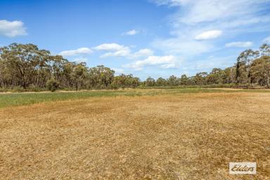 Farm For Sale - VIC - Longlea - 3551 - Camping and Recreation. 28 Acres within the Wellsford State Forest  (Image 2)