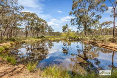 Farm For Sale - VIC - Longlea - 3551 - Camping and Recreation. 28 Acres within the Wellsford State Forest  (Image 2)