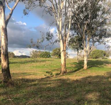 Farm Sold - QLD - Oakview - 4600 - OAKVIEW PROPERTY  (Image 2)