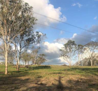 Farm Sold - QLD - Oakview - 4600 - OAKVIEW PROPERTY  (Image 2)