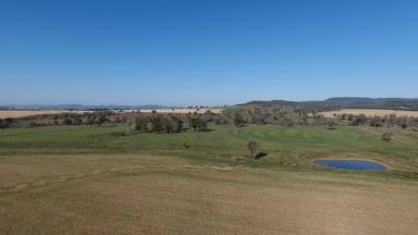 Farm For Sale - NSW - Warialda - 2402 - Part 'Mornington' Warialda  (Image 2)