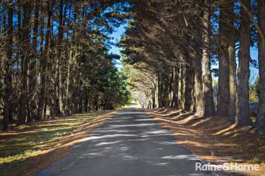 Farm For Sale - NSW - Glenquarry - 2576 - Luxury Estate in Glenquarry - A Haven of Beauty and Functionality  (Image 2)