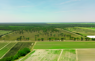 Farm For Sale - QLD - Calavos - 4670 - Large Grazing property just a short drive form Bundaberg  (Image 2)