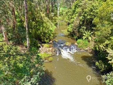 Farm For Sale - VIC - Foster - 3960 - FRANKLIN RIVER OASIS  (Image 2)