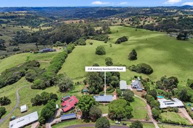 Farm Sold - QLD - Witta - 4552 - SOLD BY JESS LUTHJE  (Image 2)